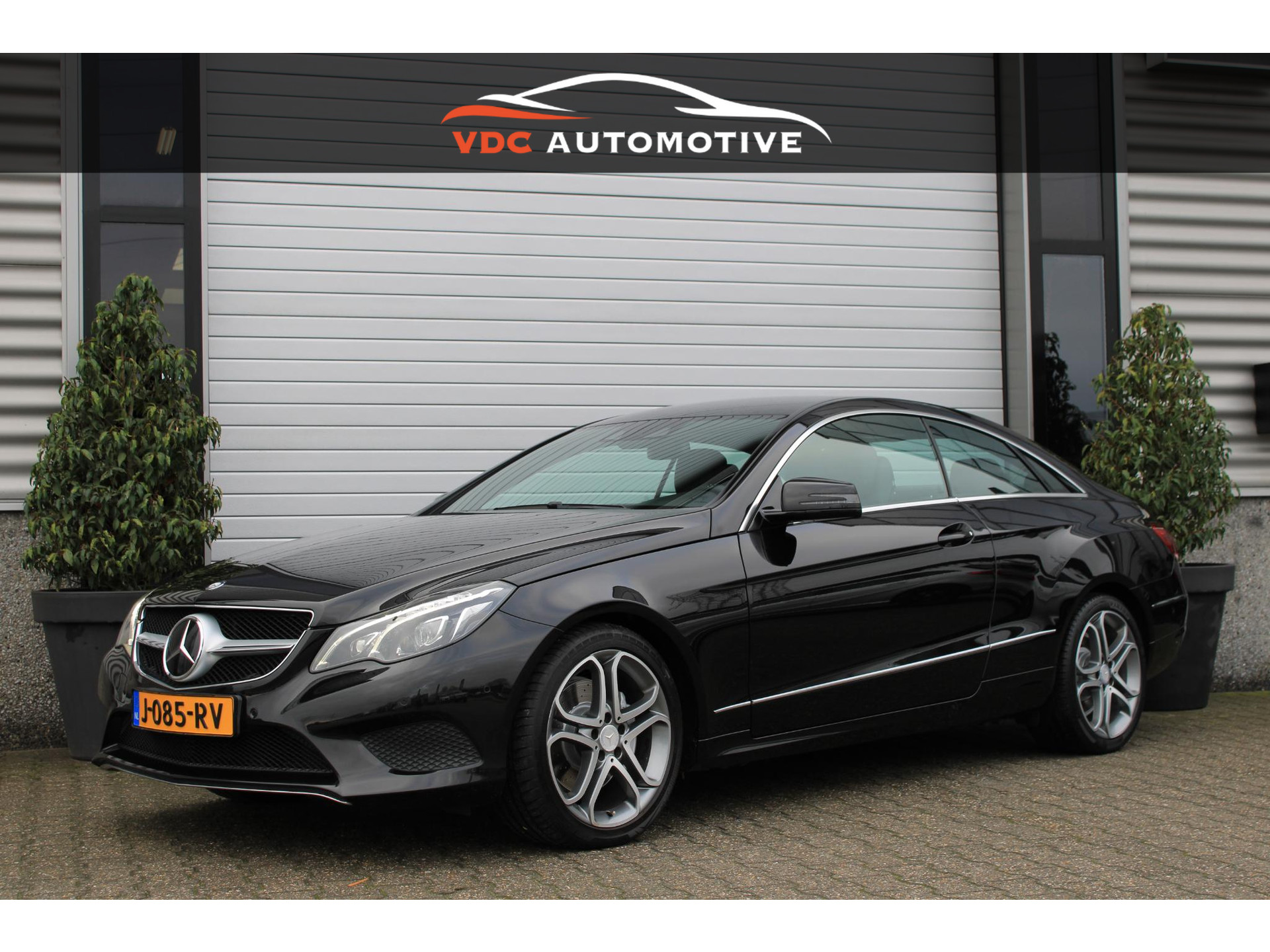 50324203